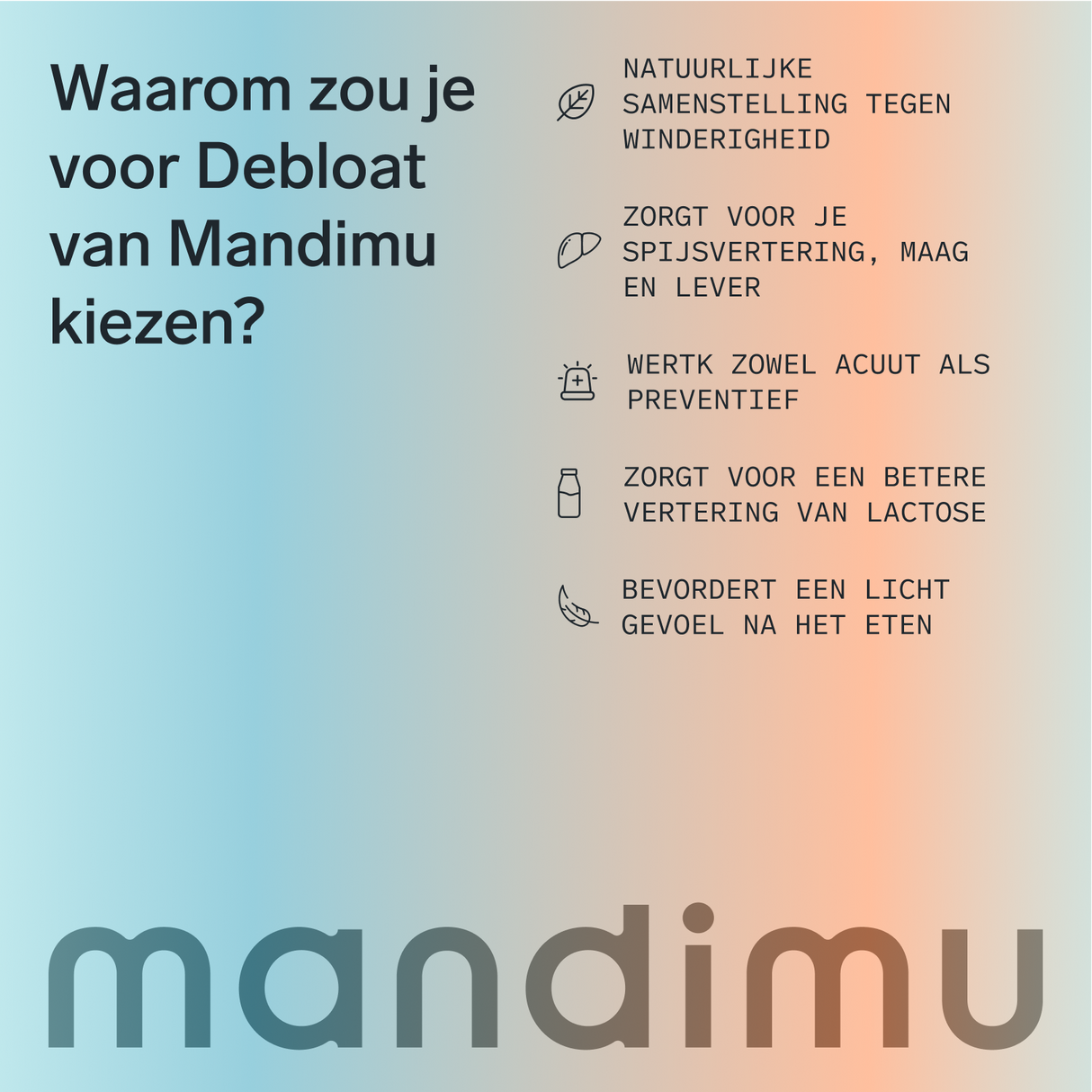 Buik in Balans (Debloat)