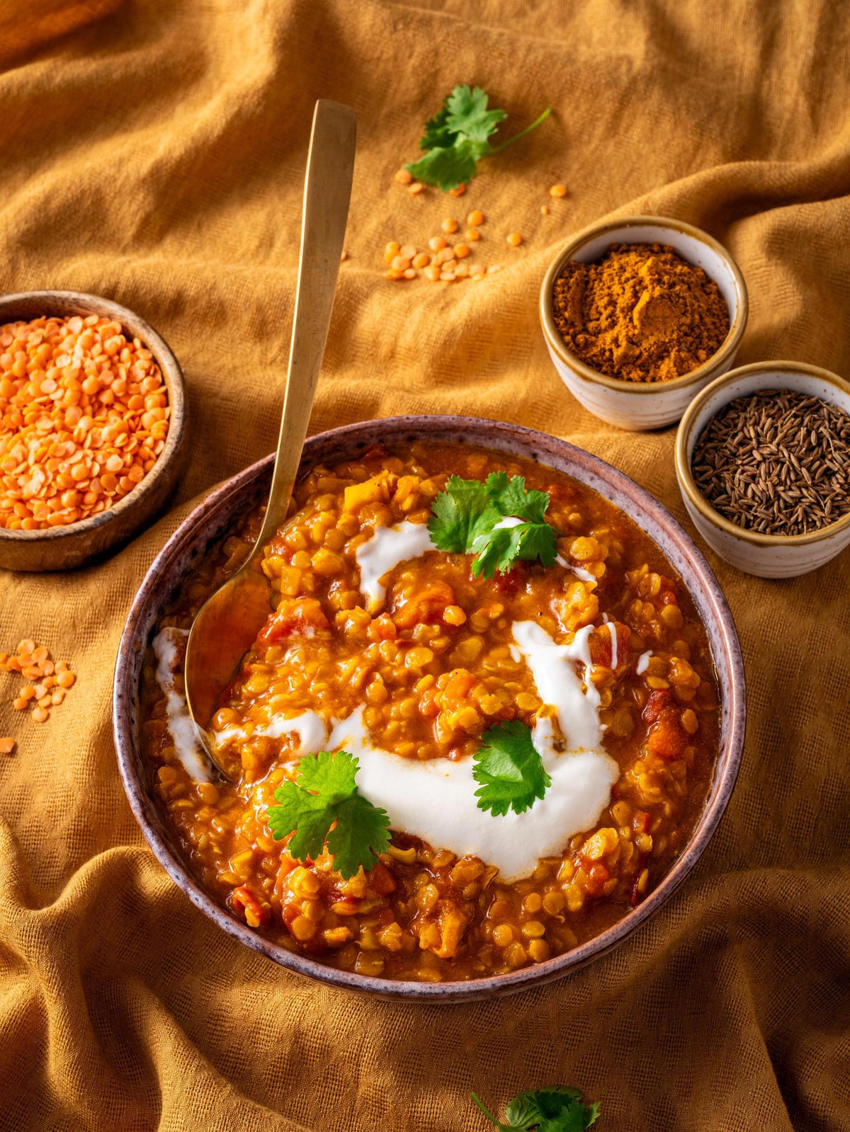 Indiase romige dhal van rode linzen