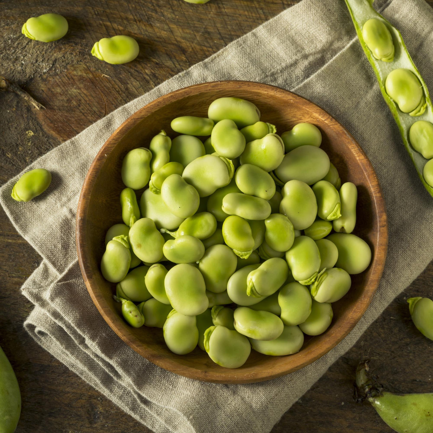 fava bonen
