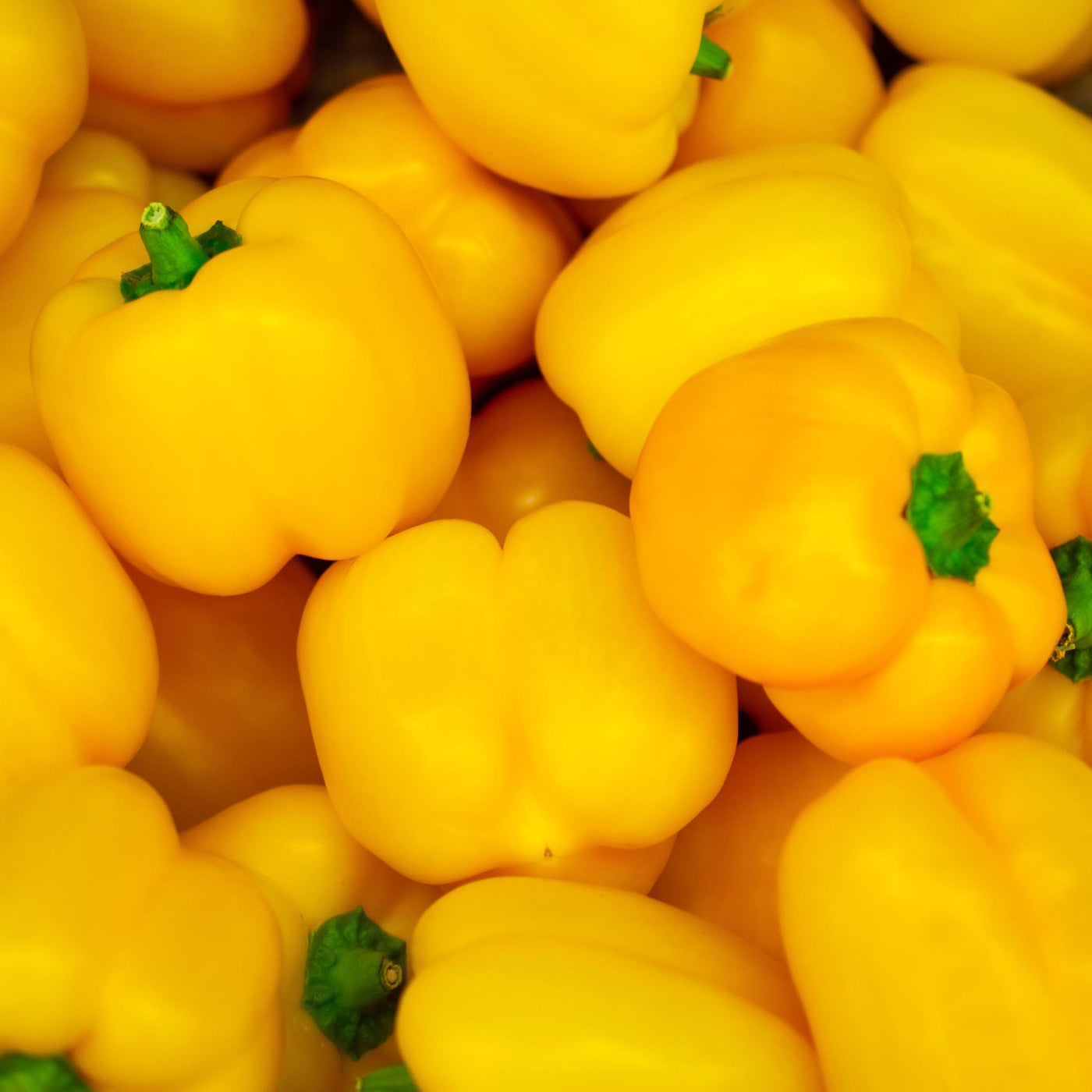 gele paprika