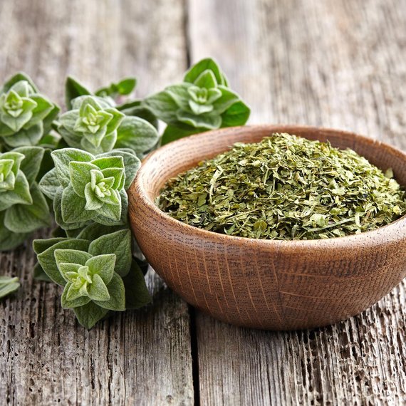 oregano