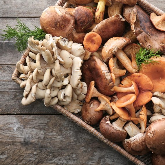 paddenstoelen